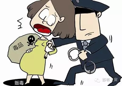 2016年初，涉縣警方查獲一起涉毒案件，鑒于該案涉案人員多、毒品交易量大，涉縣警方立即將案情上報(bào)，被公安部確立為“目標(biāo)-2016-314”號(hào)毒品案件。涉縣警方成立專案組，經(jīng)過(guò)多方追查，先后抓獲團(tuán)伙人員13名，繳獲毒品5349克，并查明上線“濮姐”的真實(shí)身份為陳某。